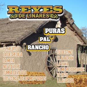Обложка для Reyes de Linares - La Meta