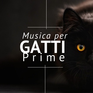 Обложка для Gatto Miao - Musica per Gatti Prime