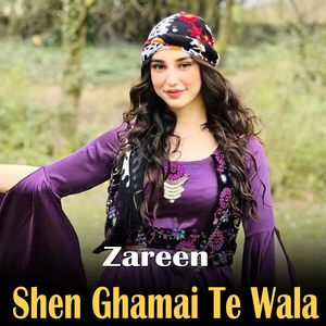 Обложка для Zareen - Pashto Best Sazz