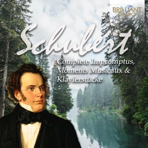 Обложка для Franz Schubert - 6 Moments Musicaux D780 - Allegretto moderato, in F minor