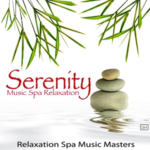 Обложка для Relaxation Spa Music Masters - Best Relaxing Music