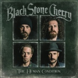 Обложка для Black Stone Cherry - The Chain