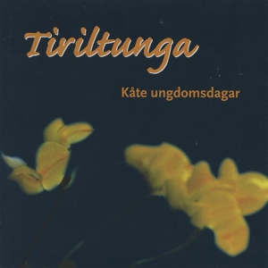 Обложка для Tiriltunga - Kjenningssignalet