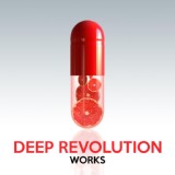 Обложка для DEEP REVOLUTION - The Shock Zone
