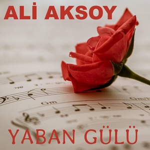 Обложка для Ali Aksoy - Yaban Gülü