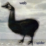 Обложка для The Web - Ymphasomniac