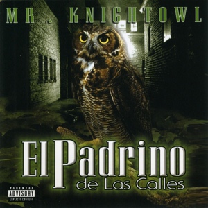 Обложка для Mr. Knight Owl feat. Mr. Shadow - Nunka