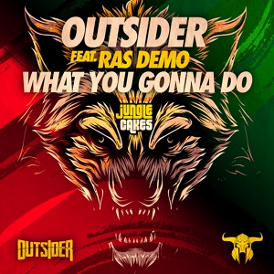 Обложка для Outsider feat. Ras Demo - What You Gonna Do
