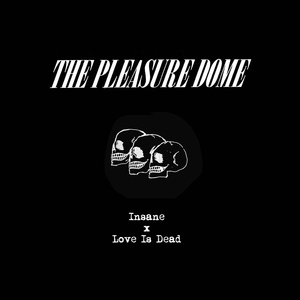 Обложка для The Pleasure Dome - Insane