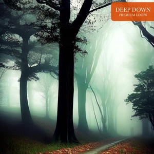 Обложка для Premium Loops - Deep Down