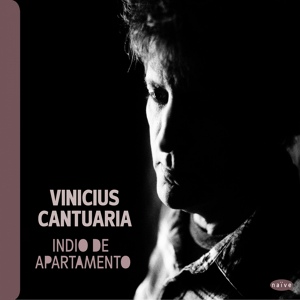 Обложка для Vinícius Cantuária, Ryuichi Sakamoto, Arnaldo Antunes - Acorda