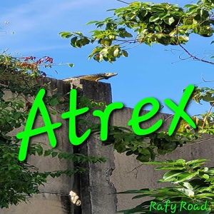 Обложка для Rafy Road - Atrex