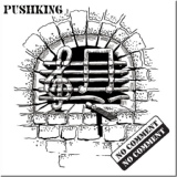 Обложка для Pushking - So Long