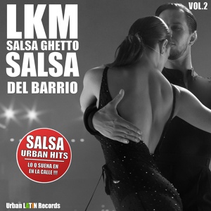 Обложка для LKM - Amor Sin Dueños