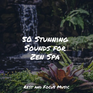 Обложка для Soothing Chill Out for Insomnia, Meditative Music Guru, Spa - Mellow Marshes