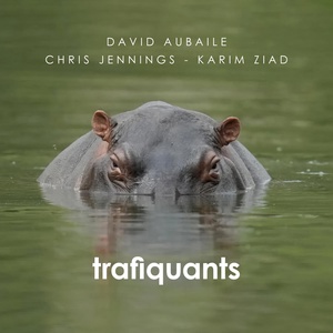 Обложка для David Aubaile feat. Karim Ziad, Chris Jennings - Trois jours de marche