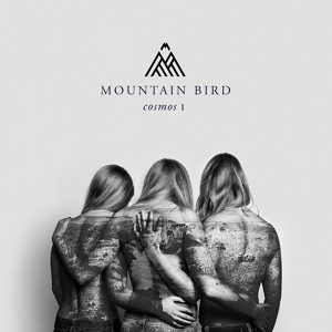 Обложка для Mountain Bird - Youth Blood