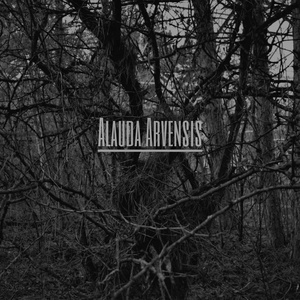 Обложка для Alauda Arvensis - Темнота и сырость