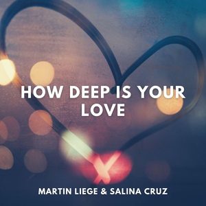 Обложка для Martin Liege, Salina Cruz - How Deep Is Your Love