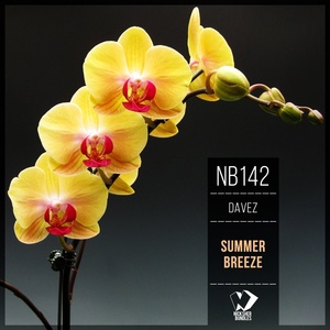 Обложка для DaveZ - Summer Breeze