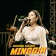 Обложка для Nanang Golden feat. Denik Armila - Minggir