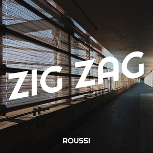 Обложка для roussi - ZIG ZAG
