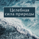 Обложка для Звуки природы академия - Исцеляющие звуки природы