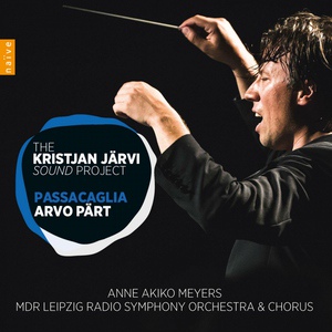 Обложка для Kristjan Järvi, MDR Leipzig Radio Symphony Orchestra - Summa