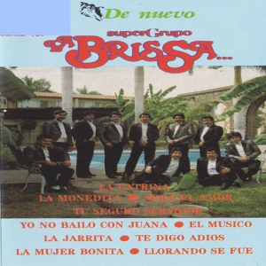 Обложка для Grupo La Brissa - Llorando Se Fue