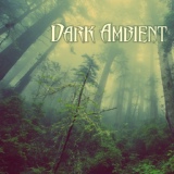 Обложка для Dark Music Specialist - Forest at Midnight