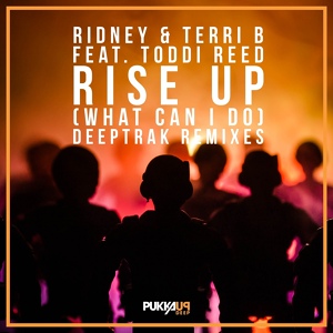 Обложка для Ridney, Terri B! feat. Toddi Reed - Rise Up (What Can I Do)