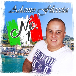 Обложка для Adamo Fileccia - Dimmi dove Sei