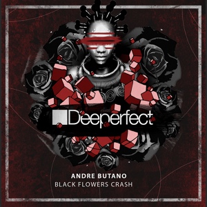 Обложка для Andre Butano - Black Flowers Crash