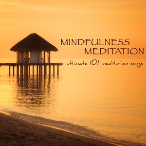 Обложка для Meditation Guru - Deep Sleep