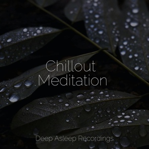 Обложка для Alpha Brain Waves, Baby Sweet Dream, Relaxing Mindfulness Meditation Relaxation Maestro - Awaken