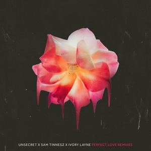 Обложка для UNSECRET, Sam Tinnesz, Ivory Layne - Perfect Love - Nevada Remix
