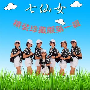 Обложка для 七仙女 - 电动玩具