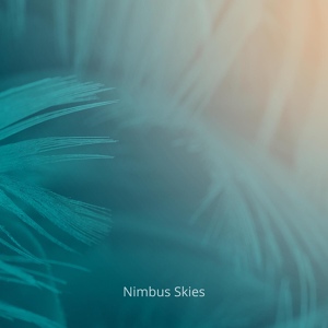 Обложка для Nimbus Skies - Silence