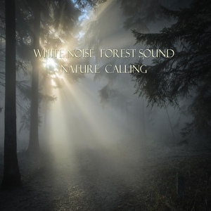 Обложка для 네이쳐콜링 Nature Calling - 숲소리 Forest Sound