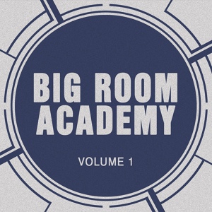 Обложка для Big Room Academy - Desire