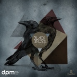 Обложка для BlackBirdz - You Don't Love Me (Original Mix)