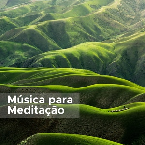 Обложка для Meditação Clube & Asian Zen Spa Music Meditation - Bar Buddha