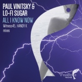 Обложка для Paul Vinitsky & Lo-Fi Sugar - All I Know Now (Witness45 Remix)*