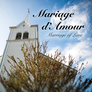 Обложка для Dmitry Pepper - Mariage d'Amour