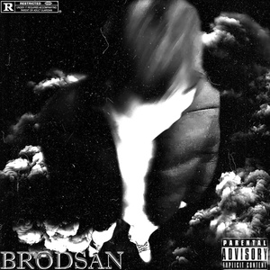 Обложка для BRODSAN - 1-100