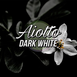 Обложка для Aiotto - Dark White (Original Mix)