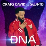 Обложка для Craig David, Galantis - DNA