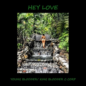 Обложка для Young Blooder - Hey Love