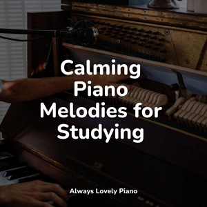 Обложка для Piano Music for Work, Brain Study Music Guys, Bar Lounge - Low Light Love