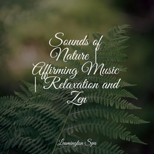 Обложка для Sound Healing Center, Rain Sounds Sleep, 125 Nature Sounds - Relaxation